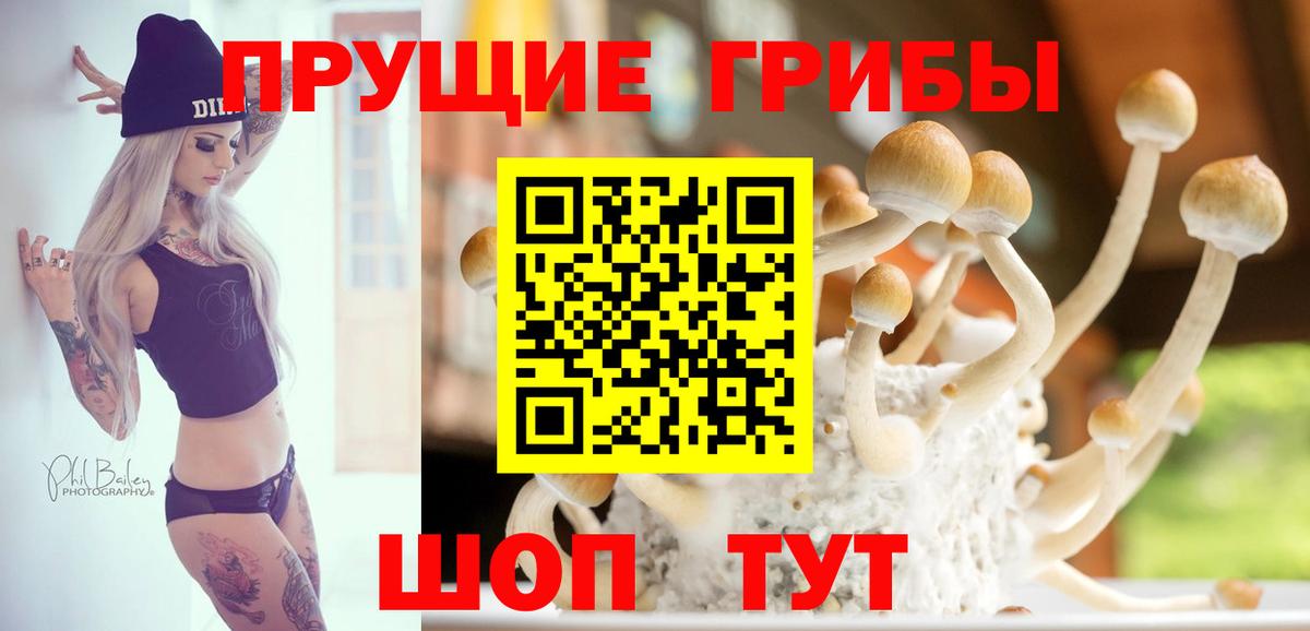Рубцовск  Галлюциногенные грибы мухоморы  Вход с VPN 